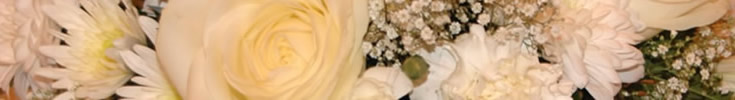 banner8